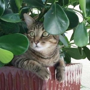 Meet your Posher, Roberts